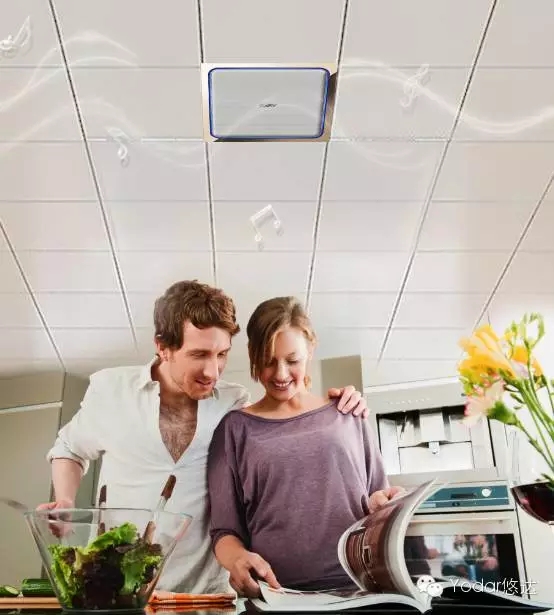 廚衛(wèi)背景音樂系統(tǒng)